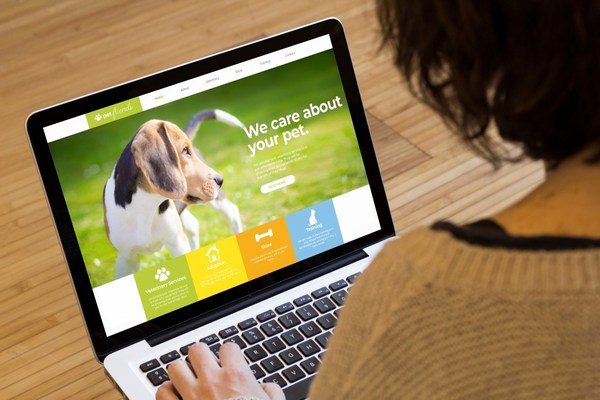 A person visiting a website