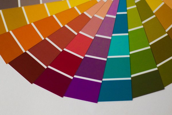 A set of physical color palette cards.