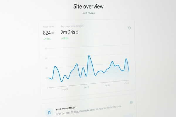 Site overview of a Google Ads campaign