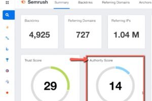 Analyzing the Page Authority Score
