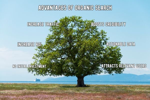 Advantages Of Organic Search