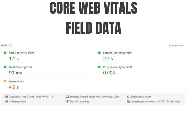 Core Web Vitals Field Data