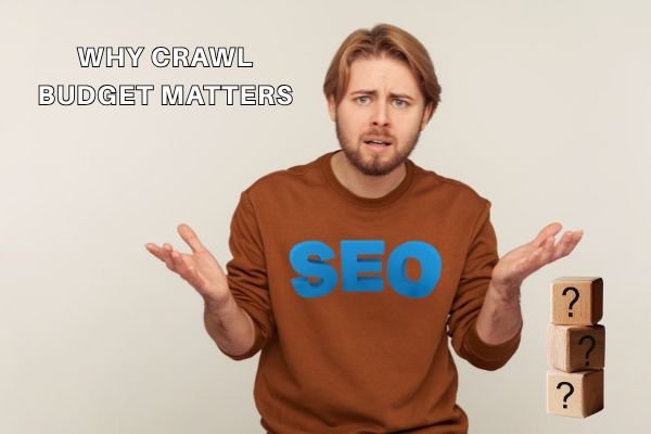 Crawl Budget In Every Website Owner
