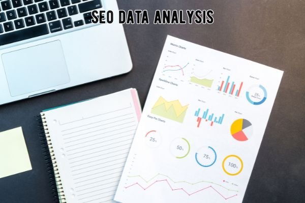 Understanding SEO Data Analysis