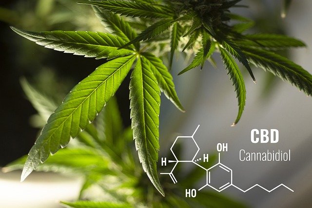 For Delta-8 and CBD Las Vegas 4 cbd seo