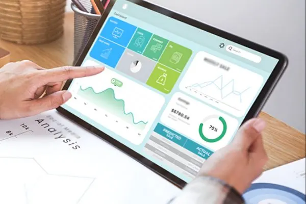 Man conducting routine site audit