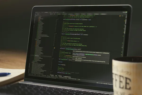 Schema markup implementation showing structured data validation
