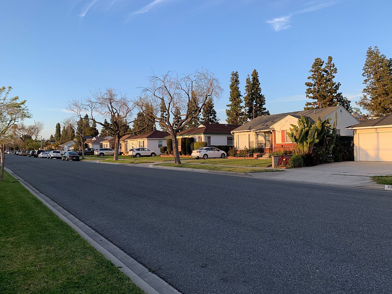Street of 1950s ranch homes in Lakewood, California, at golden hour