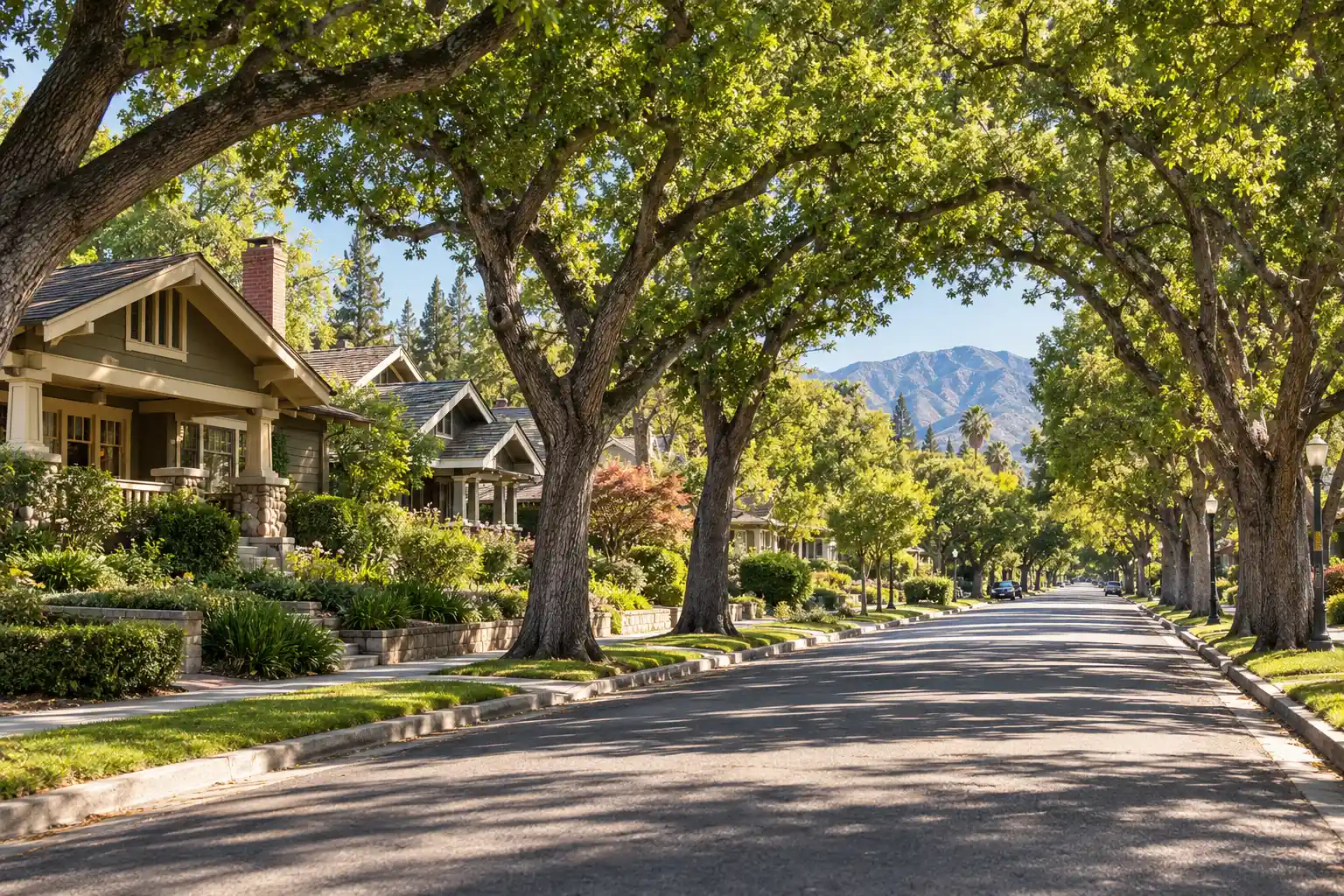 Craftsman homes under a street tree canopy in South Pasadena, CA, the City of Trees
