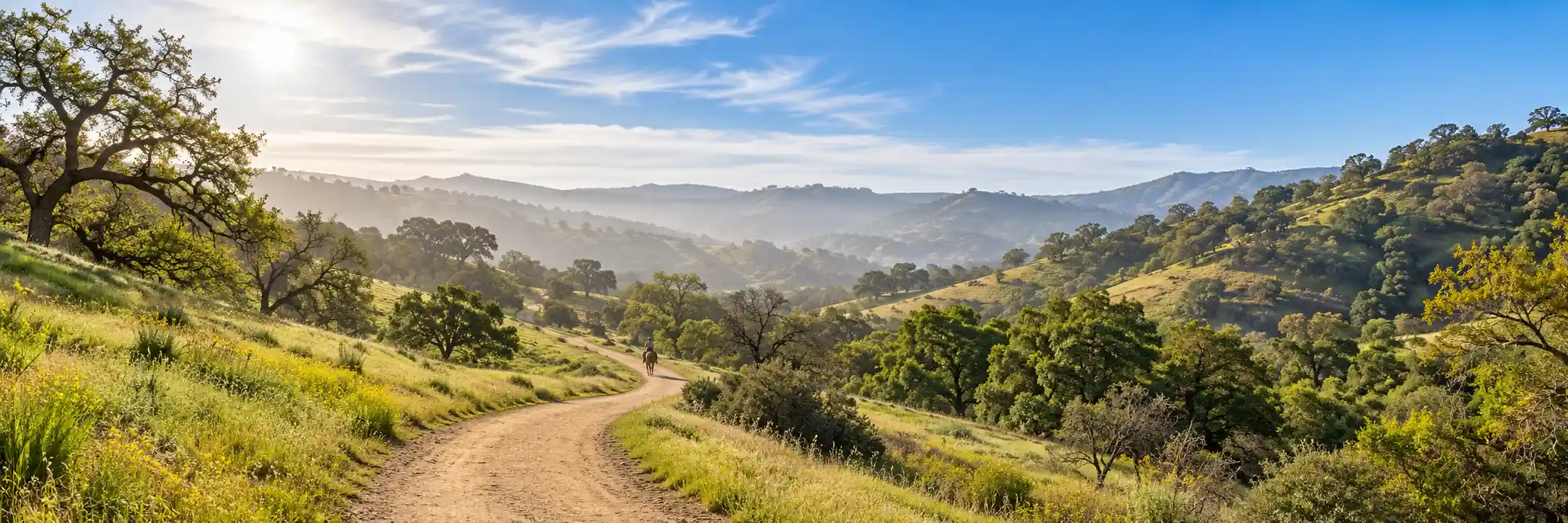 Powder Canyon trail through the Puente Hills Preserve in La Habra Heights, California
