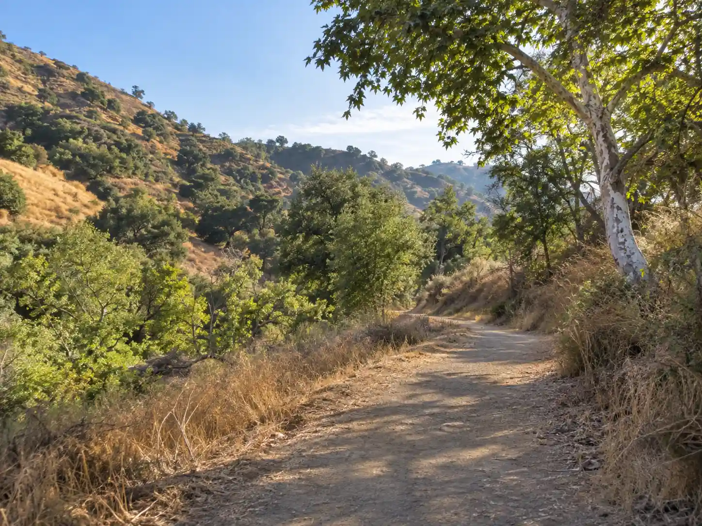 Sunlit hiking trail through golden hills at Sycamore Canyon Park in Diamond Bar, California