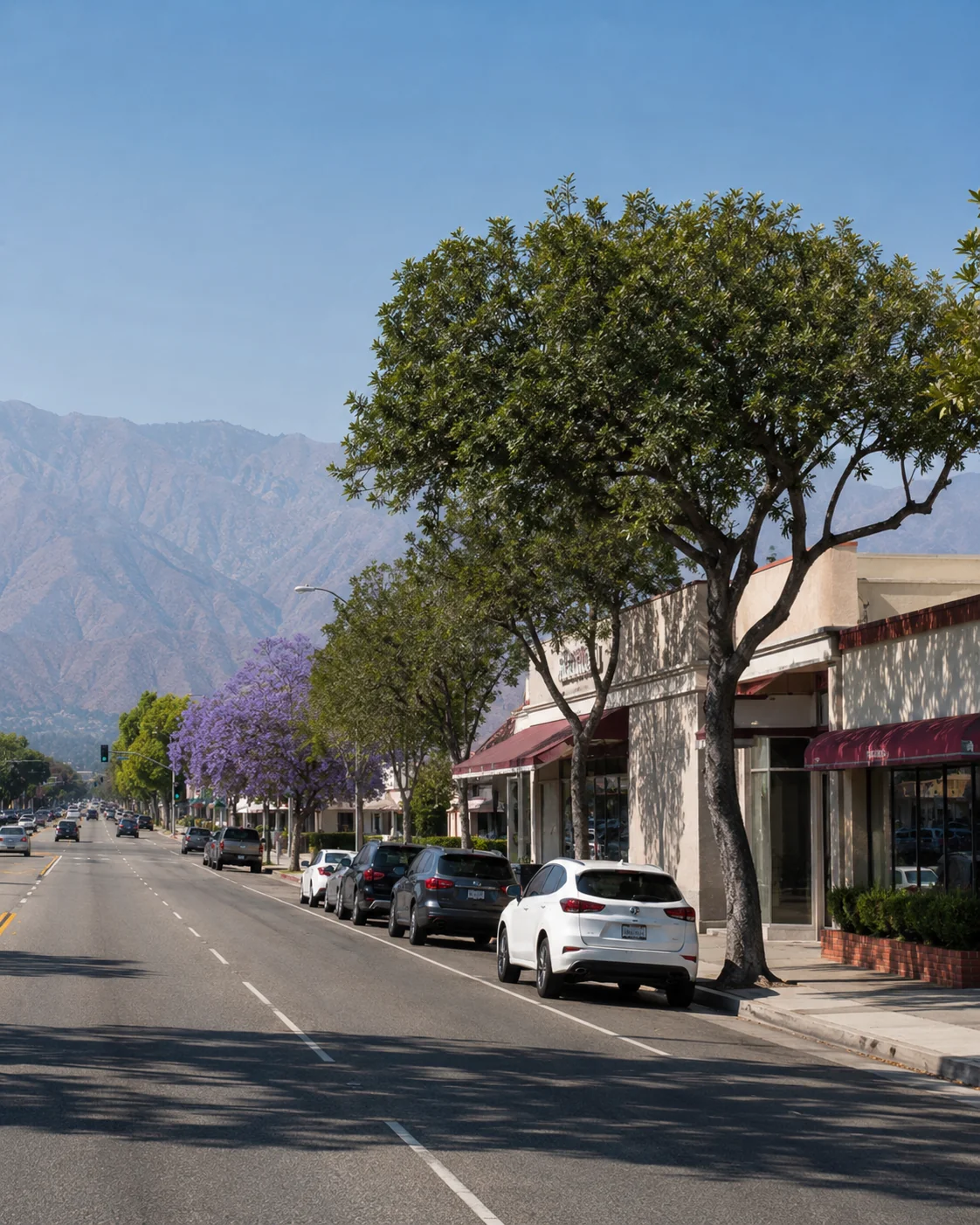 Local business storefronts along a wide commercial boulevard in Arcadia, California with the San Gabriel Mountains behind