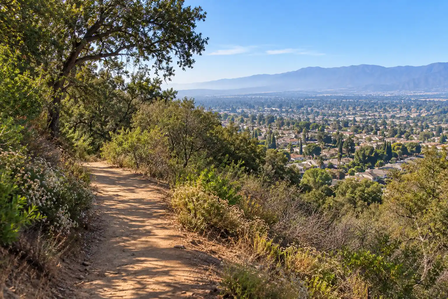 Trail through coastal sage scrub at Galster Wilderness Park above West Covina, CA