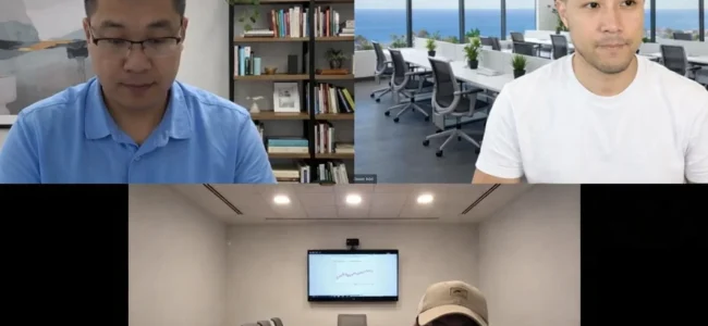 Analyst presenting SEO insights and traffic analytics to clients during an online session in Denver, CO